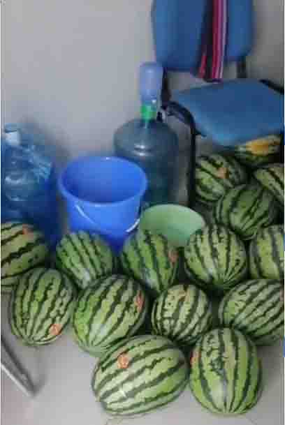 1625189452194073.jpg 1625189452194073.jpg