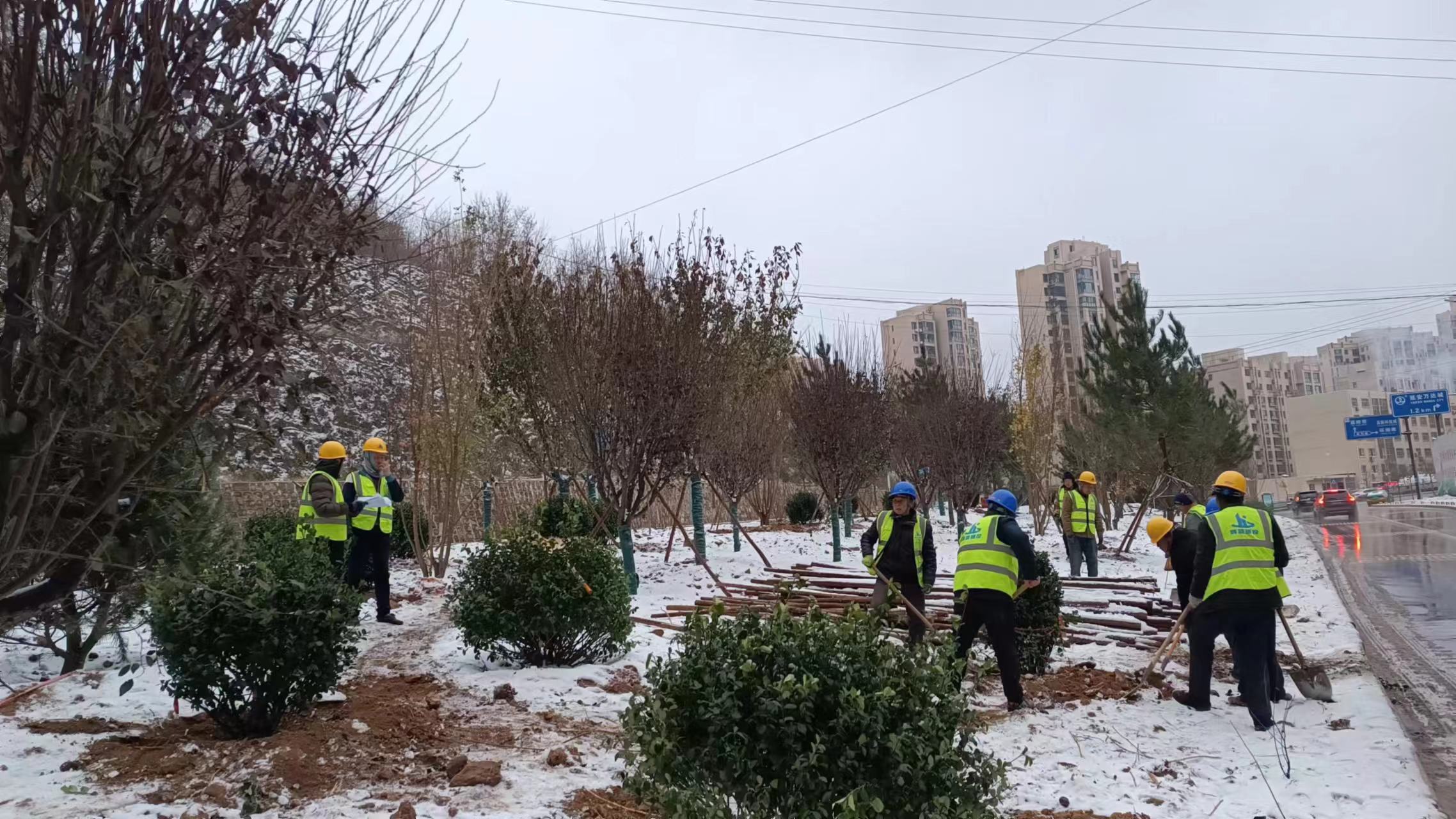 1710463300707983.jpg 用.jpg