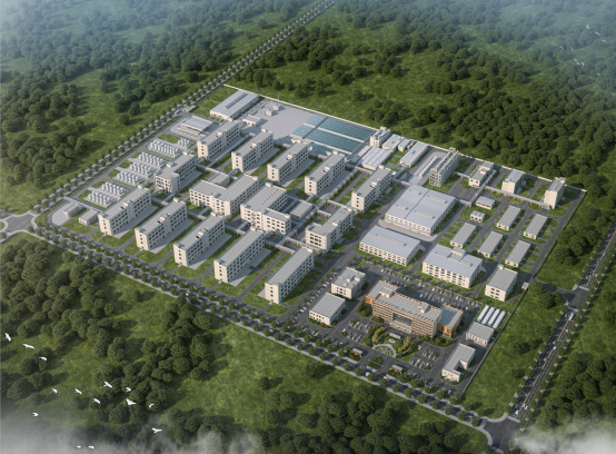 1721012876538056.jpg 1721003975310.jpg