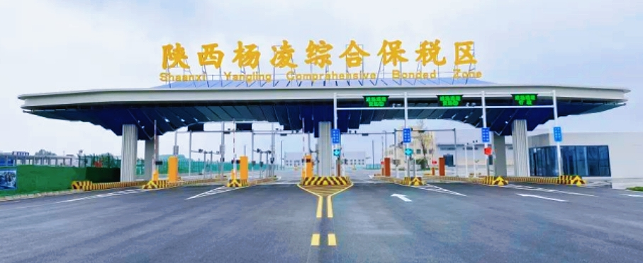 保税区3_副本.png